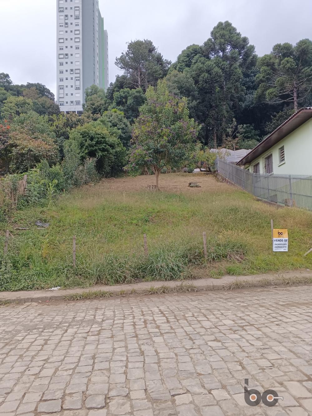 Abelaasa Assessoria Imobiliária