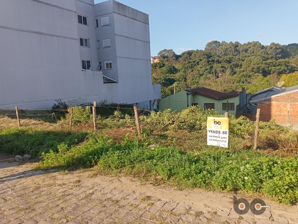Abelaasa Assessoria Imobiliária